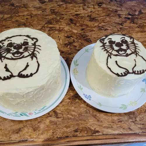 Otters — Custom Cakes